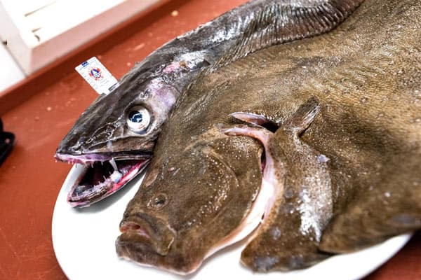 Arroces y pescados frescos del día
